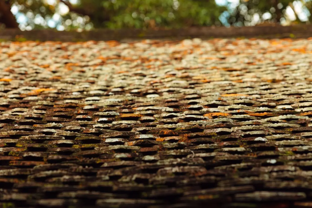 Aging shingle roof with moss growth and granule loss in Boulder, CO